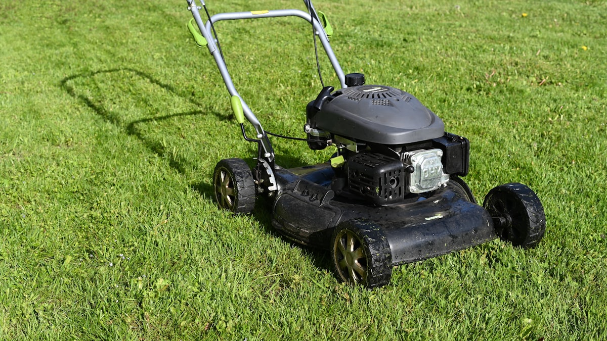 Professional garden maintenance and landscaping services