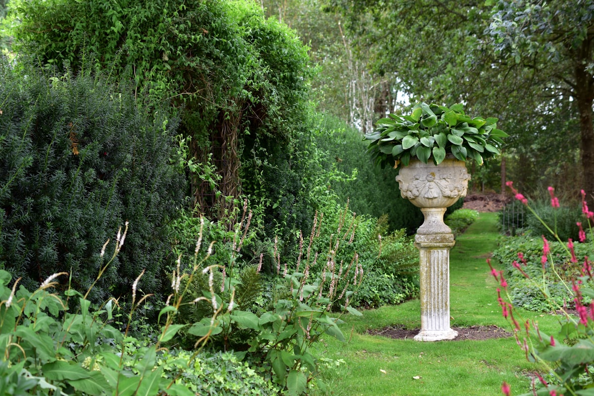 Patio and seating area in established garden