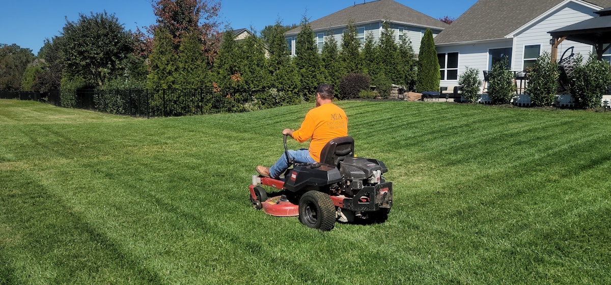 Maintained lawn with neat borders and edging